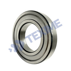 Deep Groove Ball Bearings 6010 2Z (Tube)